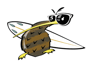 kiwi-reserver-cours-surf